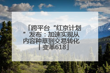 跨平台“红京计划”发布：加速实现从内容种草到交易转化丨变革618